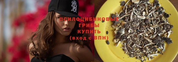прущий лед Алексин
