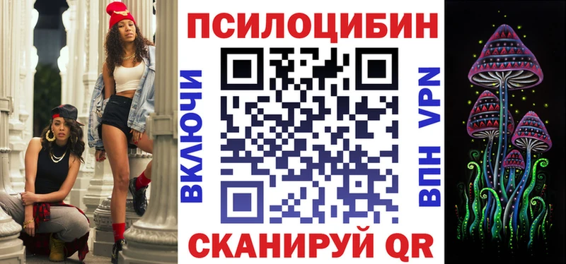 где найти   Цимлянск  KRAKEN как войти  Галлюциногенные грибы Cubensis 